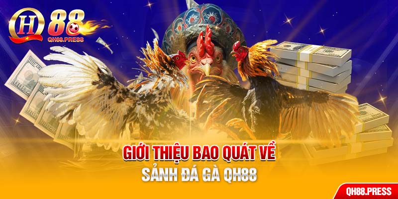 Thông tin bao quát về sảnh đá gà QH88