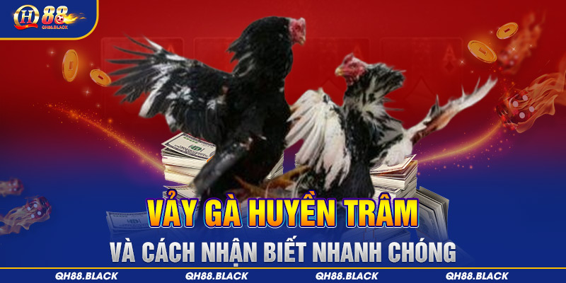 Vảy gà huyền trâm và cách nhận biết nhanh chóng