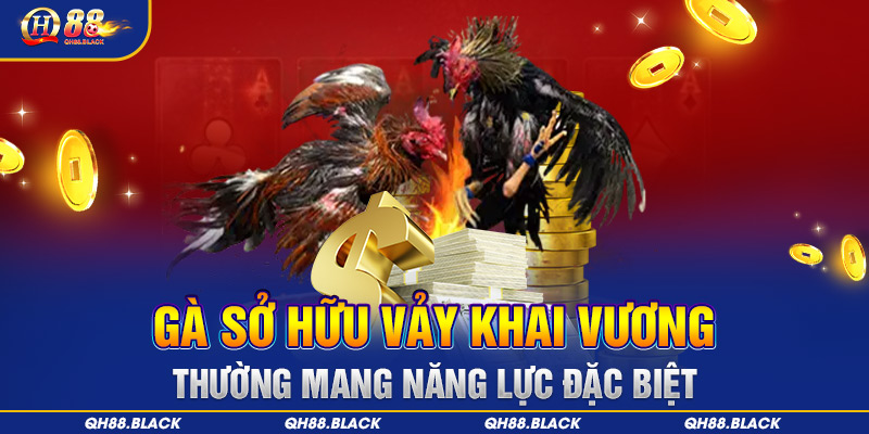 Gà sở hữu vảy chữ vương thường mang năng lực đặc biệt