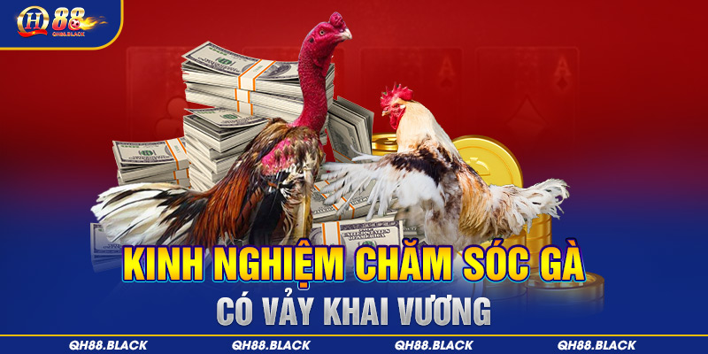 Hướng dẫn cách chăm sóc gà có vảy khai vương