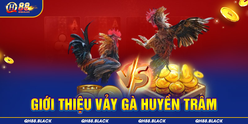 Vảy gà huyền trâm và những thông tin tổng quát nhất